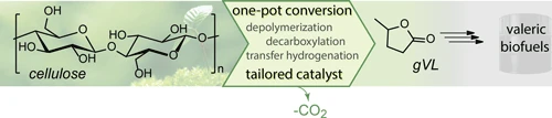 valeric-fuels-platform